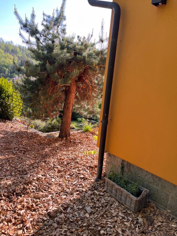 Kleines Harz-Chalet Neuwerk  Zewnętrze zdjęcie